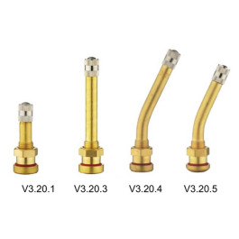 Tubeless Metal clamp-in Valves