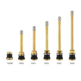 Tubeless etelclamp-in Valves For Truck And Bus