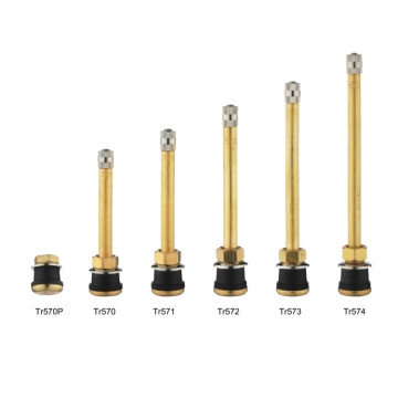 Tubeless etelclamp-in Valves For Truck And Bus