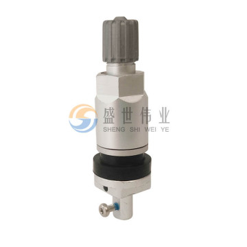 TPMS Valve 33