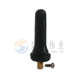TPMS Valve 02
