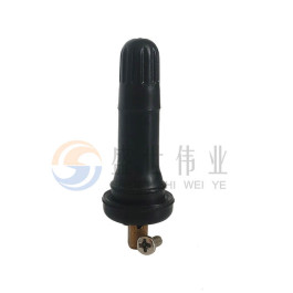 TPMS Valve 03