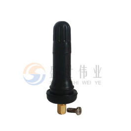 TPMS Valve 04