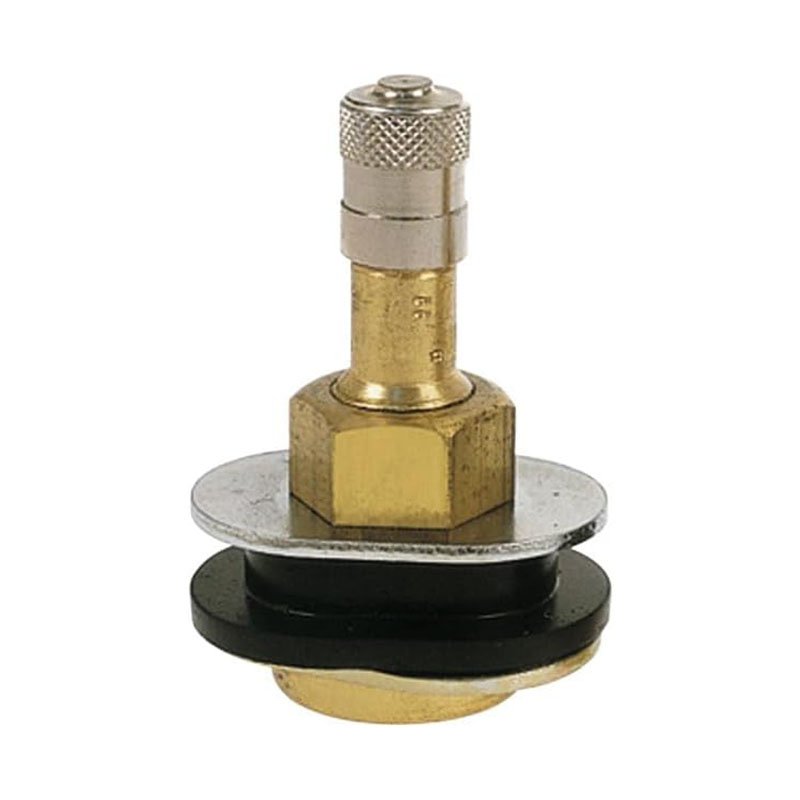 TR501OV Truck Tire Valve